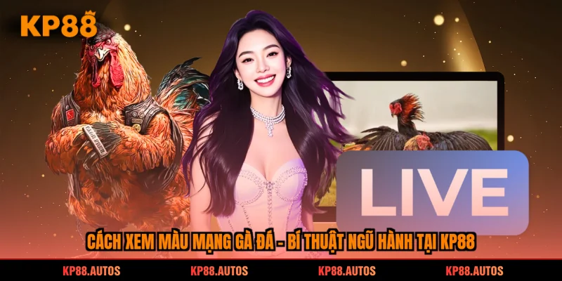 cách xem màu mạng gà đá